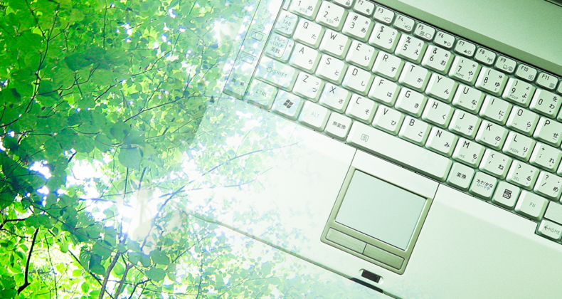 WEB開発システム